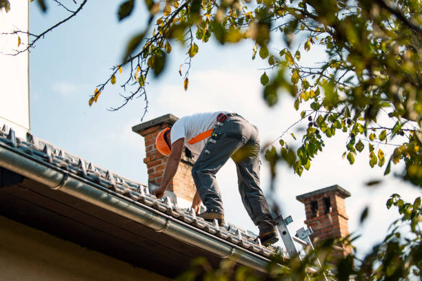 Best Roof Repair Services  in Onsted, MI