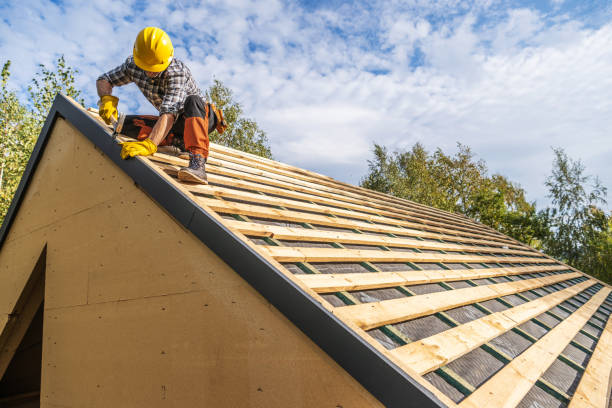 Best Roof Waterproofing Services  in Onsted, MI