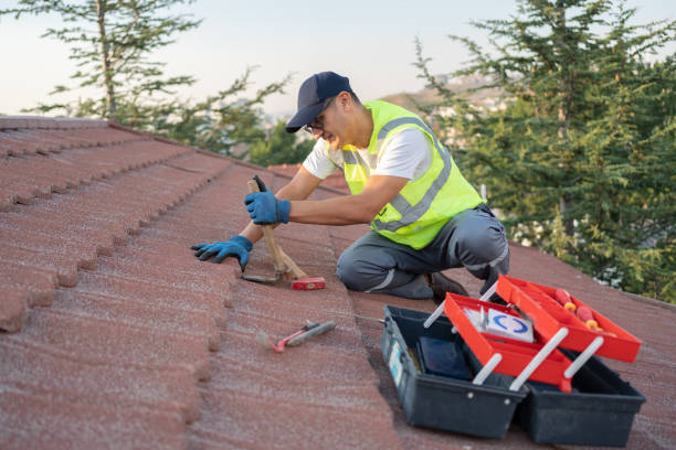 Best Storm Damage Roof Repair  in Onsted, MI