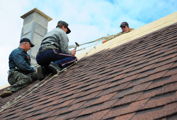 Best Emergency Roof Repair  in Onsted, MI