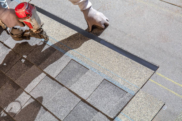 Best Roof Repair Services  in Onsted, MI